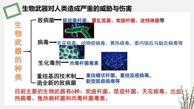 4.3  禁止生物武器 课件 高中生物新苏教版选择性必修07