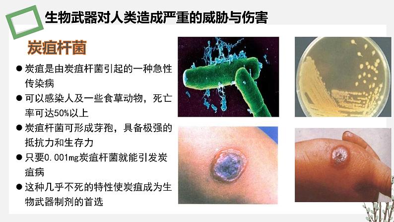 4.3  禁止生物武器 课件 高中生物新苏教版选择性必修08