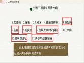 4.4  人类遗传病是可以检测和预防的 课件 高中生物新浙科版必修2