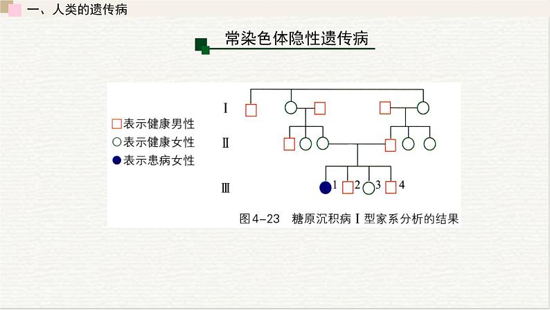 4.4  人类遗传病是可以检测和预防的 课件 高中生物新浙科版必修208