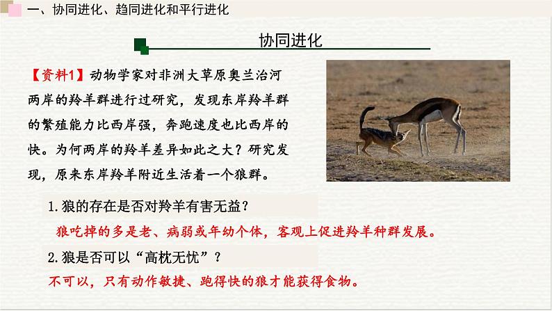 5.3  生物多样性为人类生存提供资源与适宜环境 课件 高中生物新浙科版必修206