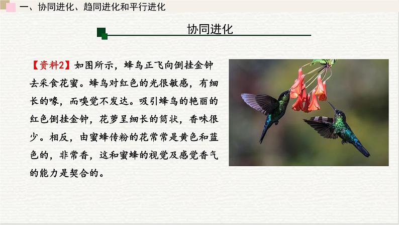 5.3  生物多样性为人类生存提供资源与适宜环境 课件 高中生物新浙科版必修207