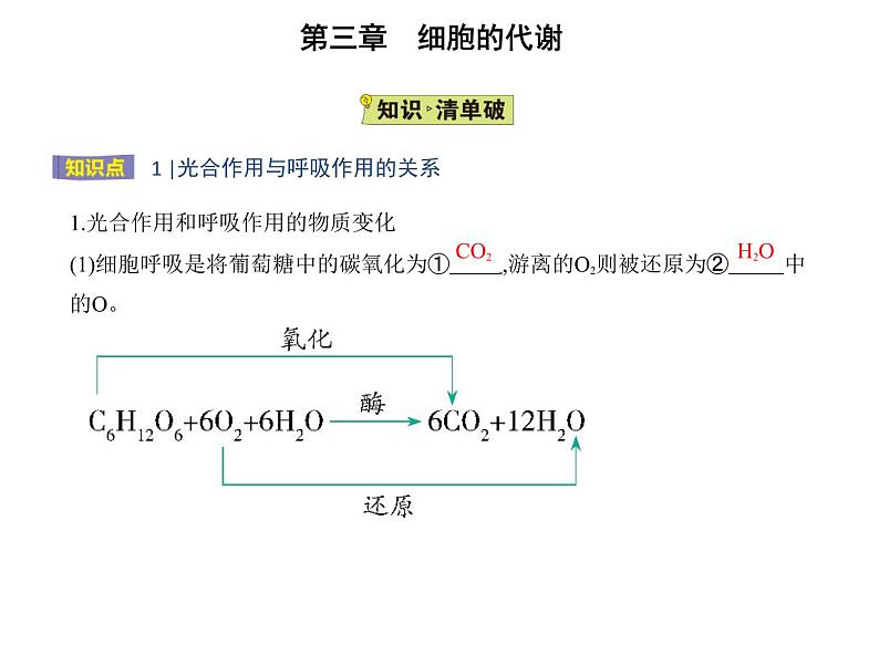 第三章第五节 光合作用将光能转化为化学能 课件（43张）-高中生物新浙科版（2019）必修102