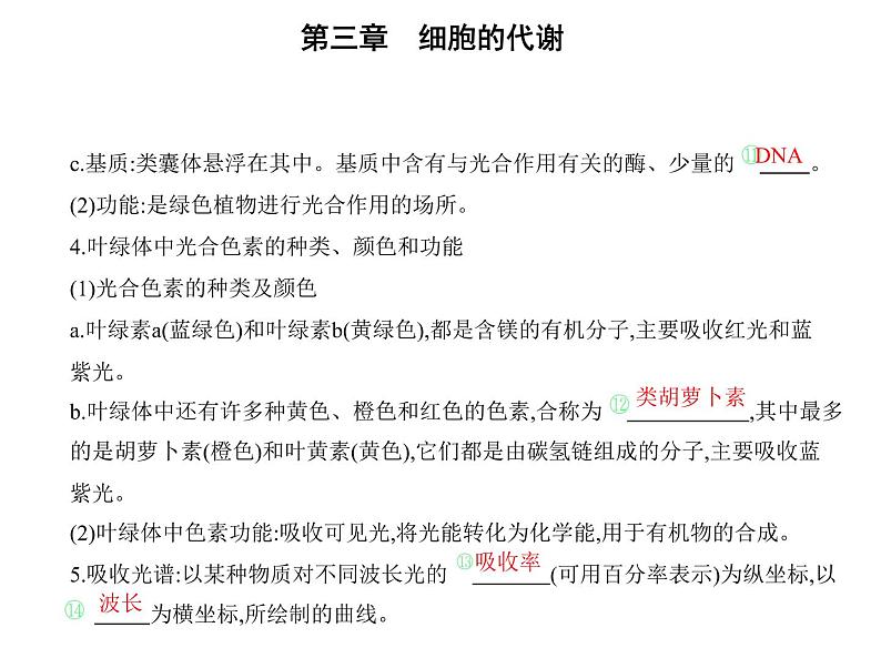 第三章第五节 光合作用将光能转化为化学能 课件（43张）-高中生物新浙科版（2019）必修106