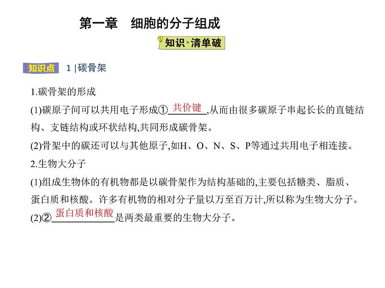 第一章第二节 生物大分子以碳链为骨架 课件（54张）-高中生物新浙科版（2019）选择性必修102