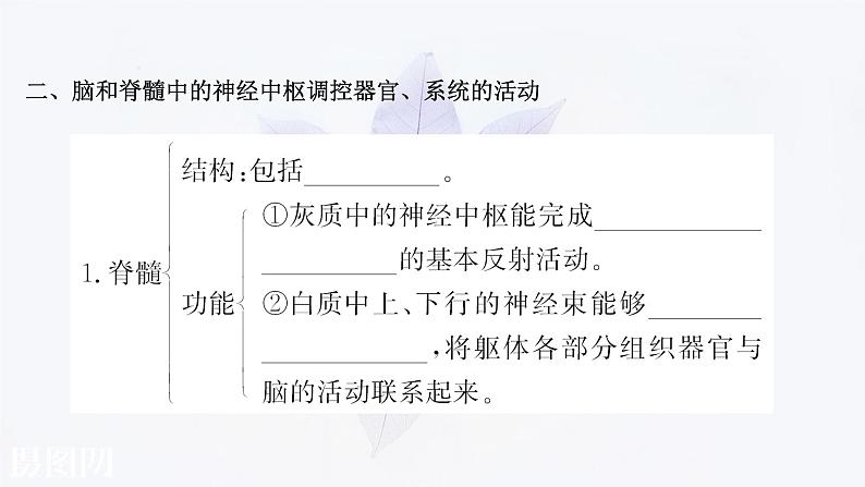 第二章 第三节 人体通过神经调节对刺激做出反应 课件（44张）-高中生物新浙科版（2019）选择性必修107