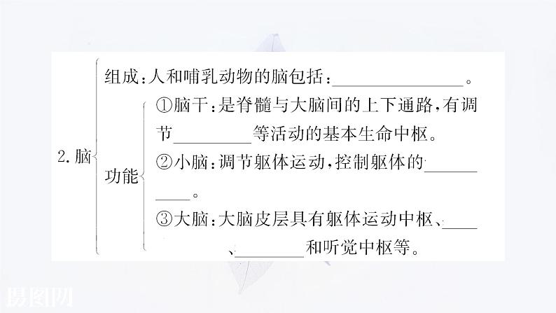 第二章 第三节 人体通过神经调节对刺激做出反应 课件（44张）-高中生物新浙科版（2019）选择性必修108