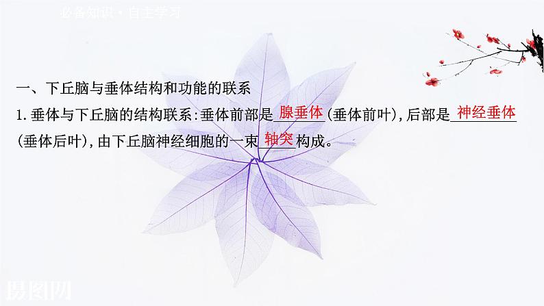 第三章 第二节 神经系统通过下丘脑控制内分泌系统 课件（62张）-高中生物新浙科版（2019）选择性必修103