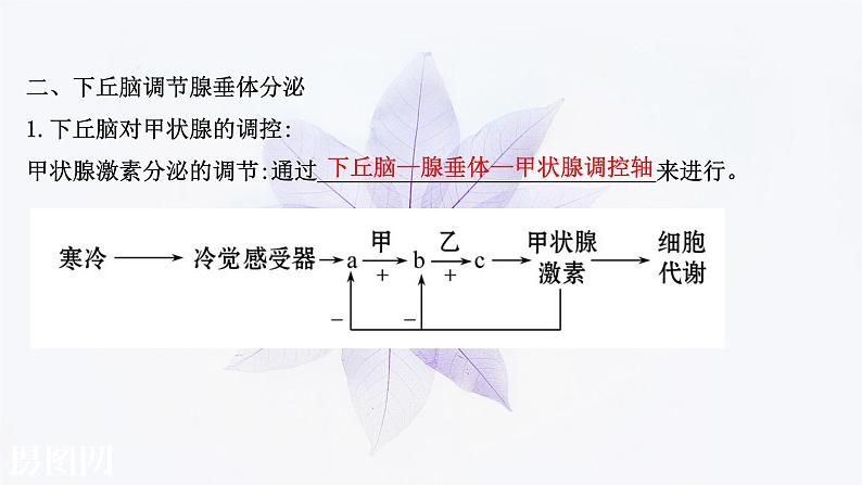 第三章 第二节 神经系统通过下丘脑控制内分泌系统 课件（62张）-高中生物新浙科版（2019）选择性必修106