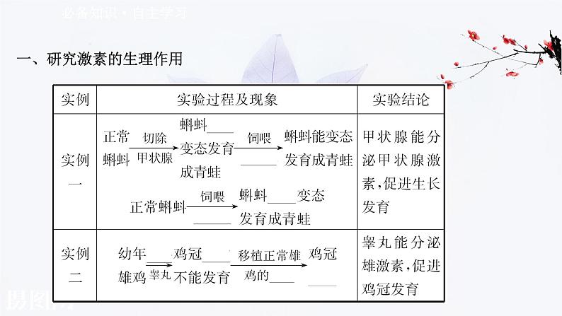 第三章 第三节 激素调节身体多种机能 课件（57张）-高中生物新浙科版（2019）选择性必修102