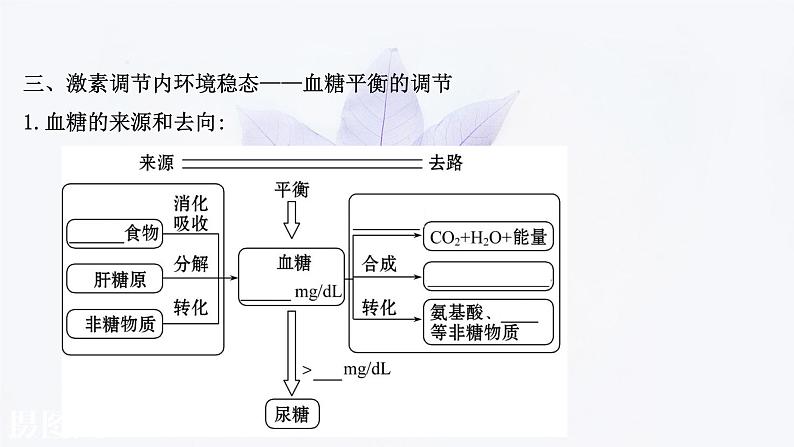 第三章 第三节 激素调节身体多种机能 课件（57张）-高中生物新浙科版（2019）选择性必修107