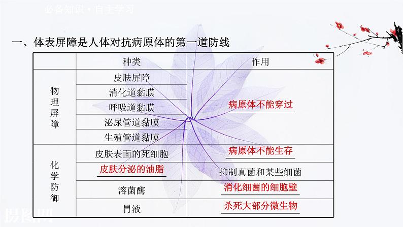 第四章 第二节 人体通过非特异性免疫对抗病原体 课件（46张）-高中生物新浙科版（2019）选择性必修103