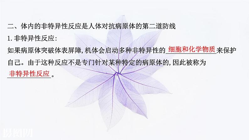 第四章 第二节 人体通过非特异性免疫对抗病原体 课件（46张）-高中生物新浙科版（2019）选择性必修104