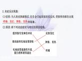 第四章 第二节 人体通过非特异性免疫对抗病原体 课件（46张）-高中生物新浙科版（2019）选择性必修1