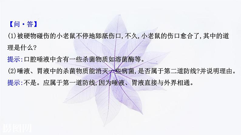 第四章 第二节 人体通过非特异性免疫对抗病原体 课件（46张）-高中生物新浙科版（2019）选择性必修106