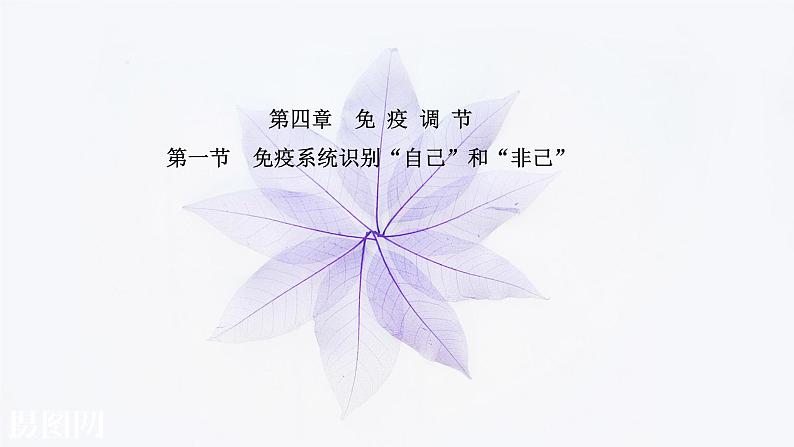 第四章 第一节 免疫系统识别“自己”和“非己” 课件（49张）-高中生物新浙科版（2019）选择性必修101