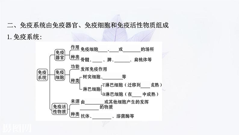 第四章 第一节 免疫系统识别“自己”和“非己” 课件（49张）-高中生物新浙科版（2019）选择性必修104