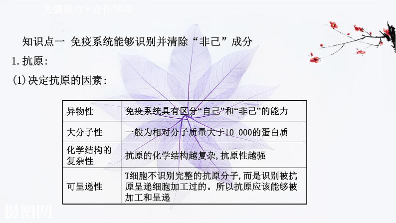 第四章 第一节 免疫系统识别“自己”和“非己” 课件（49张）-高中生物新浙科版（2019）选择性必修108