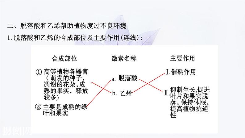 第五章 第二节 植物激素调节植物生命活动 课件（47张）-高中生物新浙科版（2019）选择性必修1第6页