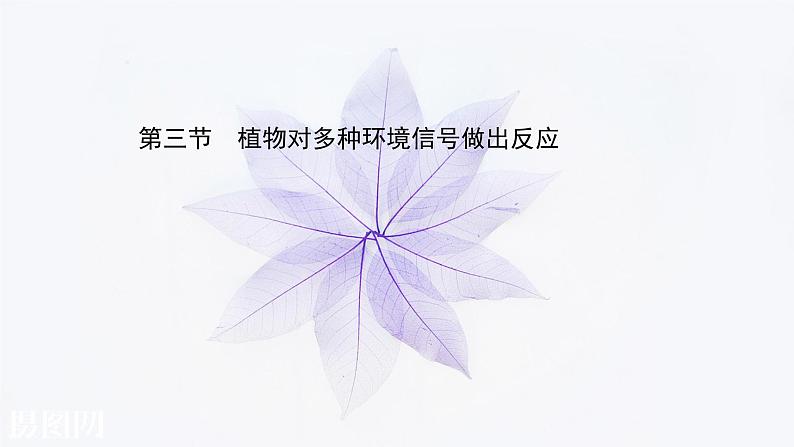 第五章 第三节 植物对多种环境信号做出反应 课件（31张）-高中生物新浙科版（2019）选择性必修101