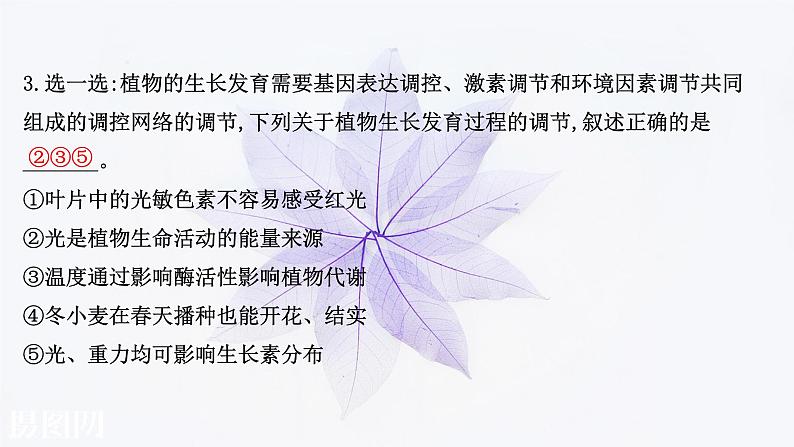 第五章 第三节 植物对多种环境信号做出反应 课件（31张）-高中生物新浙科版（2019）选择性必修108