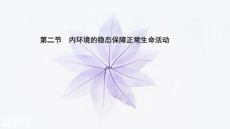 第一章 第二节 内环境的稳态保障正常生命活动 课件（41张）-高中生物新浙科版（2019）选择性必修101