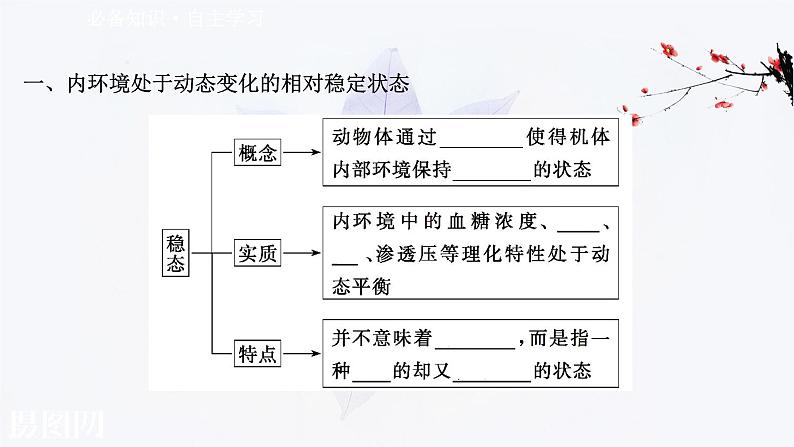 第一章 第二节 内环境的稳态保障正常生命活动 课件（41张）-高中生物新浙科版（2019）选择性必修103