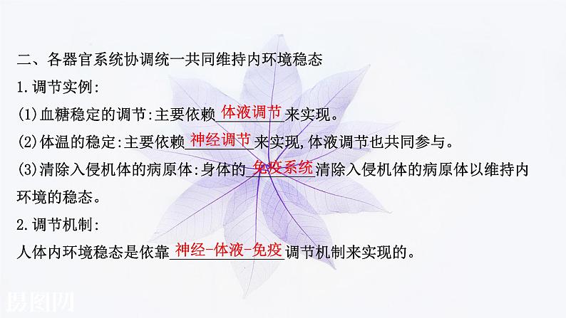 第一章 第二节 内环境的稳态保障正常生命活动 课件（41张）-高中生物新浙科版（2019）选择性必修108