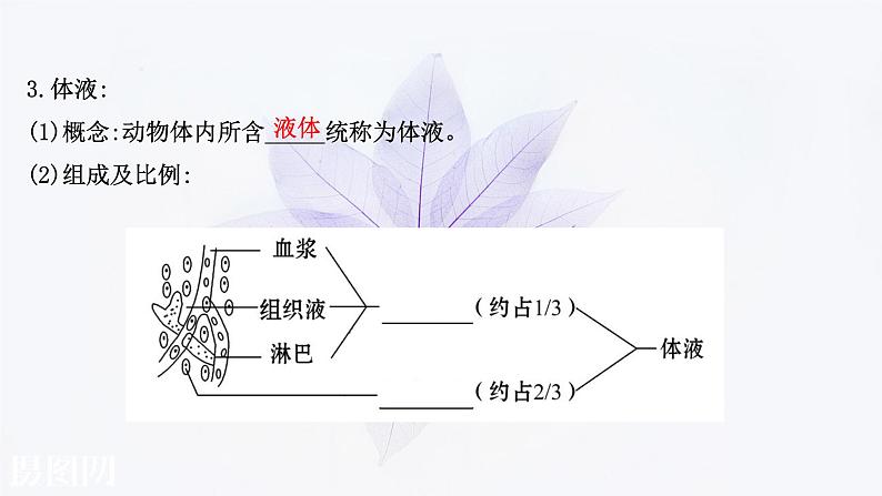 第一章 第一节 人体细胞生活在内环境中 课件（73张）-高中生物新浙科版（2019）选择性必修106