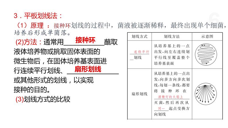 1.2 纯净的目标微生物可通过分离和纯化获得（第1课时） 课件 高中生物新浙科版选择性必修3第6页