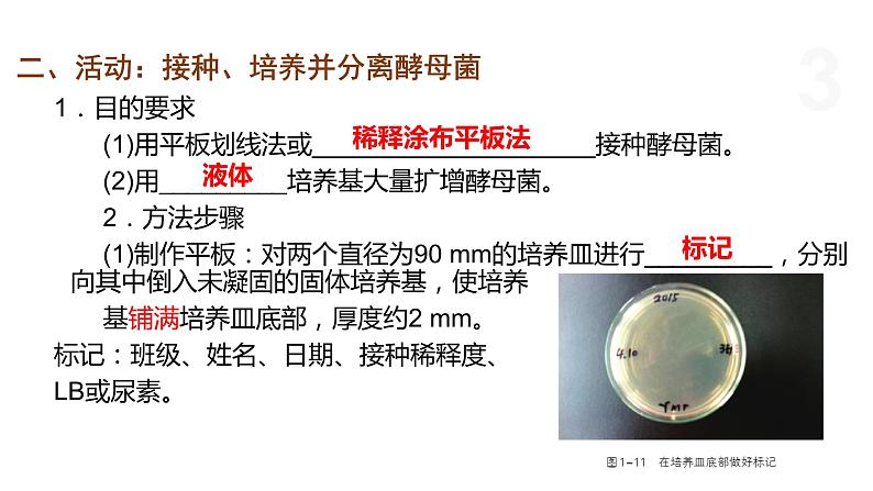 1.2 纯净的目标微生物可通过分离和纯化获得（第2课时） 课件 高中生物新浙科版选择性必修303