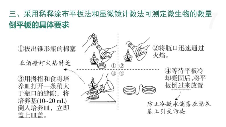 1.2 纯净的目标微生物可通过分离和纯化获得（第2课时） 课件 高中生物新浙科版选择性必修307