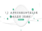 1.2 纯净的目标微生物可通过分离和纯化获得（第3课时） 课件 高中生物新浙科版选择性必修3