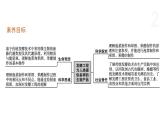 1.3 发酵工程为人类提供多样的生物产品（第1课时） 课件 高中生物新浙科版选择性必修3