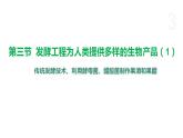 1.3 发酵工程为人类提供多样的生物产品（第1课时） 课件 高中生物新浙科版选择性必修3