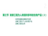 1.3 发酵工程为人类提供多样的生物产品（第2课时） 课件 高中生物新浙科版选择性必修3
