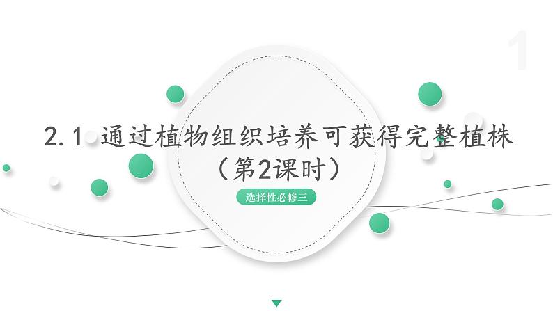 2.1 通过植物组织培养可获得完整植株（第2课时） 课件 高中生物新浙科版选择性必修301