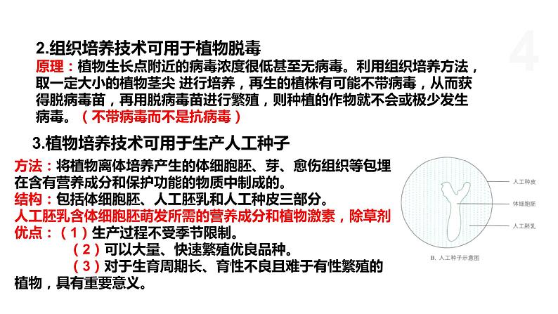 2.1 通过植物组织培养可获得完整植株（第2课时） 课件 高中生物新浙科版选择性必修304