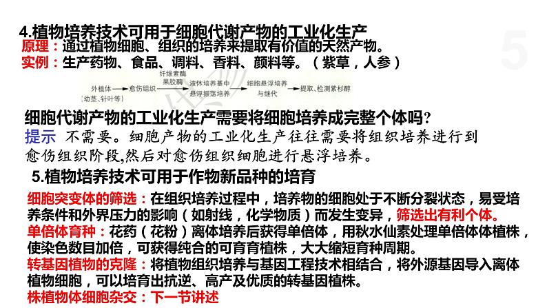 2.1 通过植物组织培养可获得完整植株（第2课时） 课件 高中生物新浙科版选择性必修305