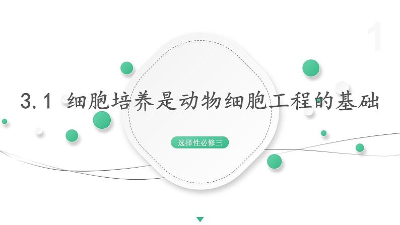 3.1 细胞培养是动物细胞工程的基础 课件 高中生物新浙科版选择性必修301