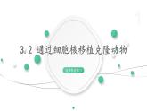 3.2 通过细胞核移植克隆动物 课件 高中生物新浙科版选择性必修3