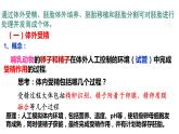 3.4 对动物早期胚胎或配子进行处理可获得目标个体（第2课时） 课件 高中生物新浙科版选择性必修3