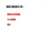 4.1 基因工程赋予生物新的遗传特性（第2课时） 课件 高中生物新浙科版选择性必修3