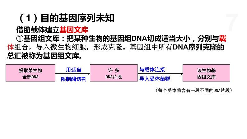 4.1 基因工程赋予生物新的遗传特性（第2课时） 课件 高中生物新浙科版选择性必修307