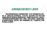 4.1 基因工程赋予生物新的遗传特性（第1课时） 课件 高中生物新浙科版选择性必修3