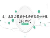 4.1 基因工程赋予生物新的遗传特性（第3课时） 课件 高中生物新浙科版选择性必修3