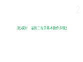 4.1 基因工程赋予生物新的遗传特性（第3课时） 课件 高中生物新浙科版选择性必修3