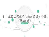 4.1 基因工程赋予生物新的遗传特性（第4课时） 课件 高中生物新浙科版选择性必修3