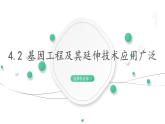 4.2 基因工程及其延伸技术应用广泛 课件 高中生物新浙科版选择性必修3