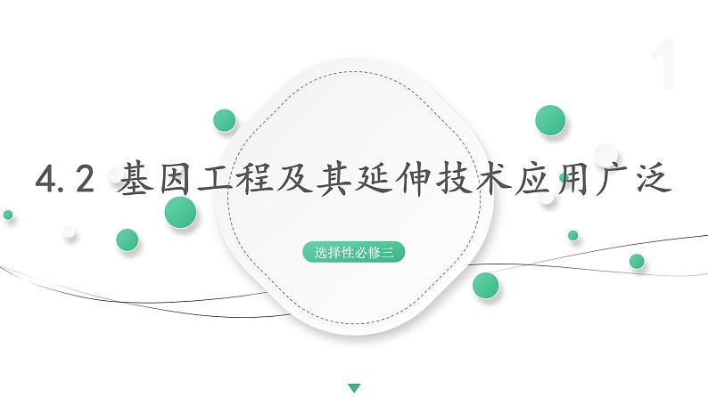 4.2 基因工程及其延伸技术应用广泛 课件 高中生物新浙科版选择性必修3第1页